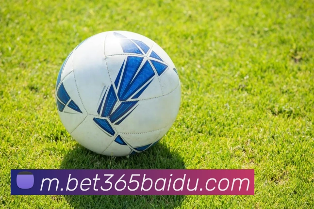 bet365中国官网服务体系